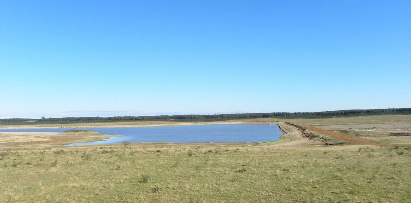 Campo en Tacuarembó, propiedad 298779 -Imagen 4