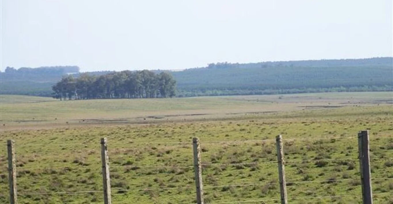 Campo en Tacuarembó, propiedad 298780 -Imagen 2