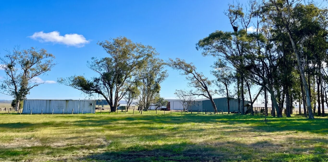 Campo en Maldonado, propiedad 298783 -Imagen 1