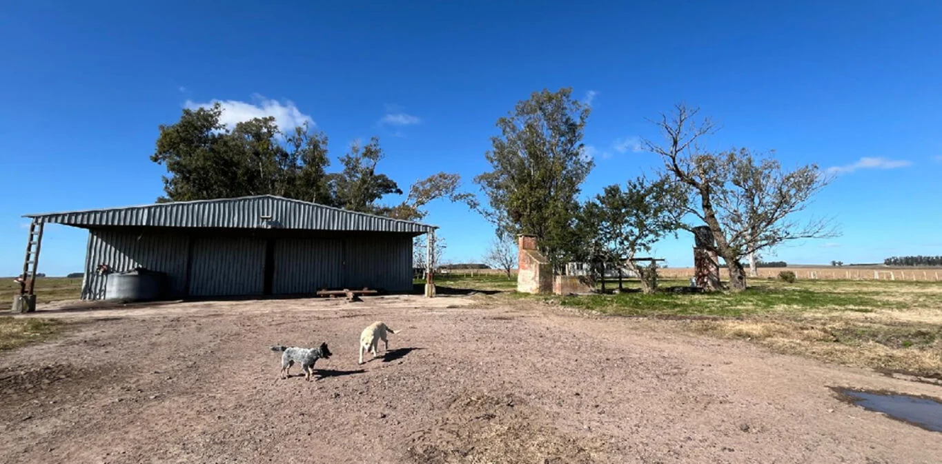 Campo en Maldonado, propiedad 298783 -Imagen 7