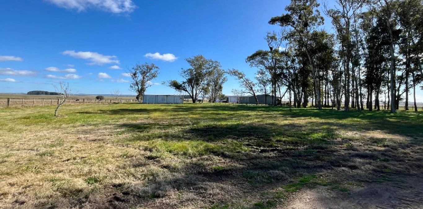 Campo en Maldonado, propiedad 298783 -Imagen 2