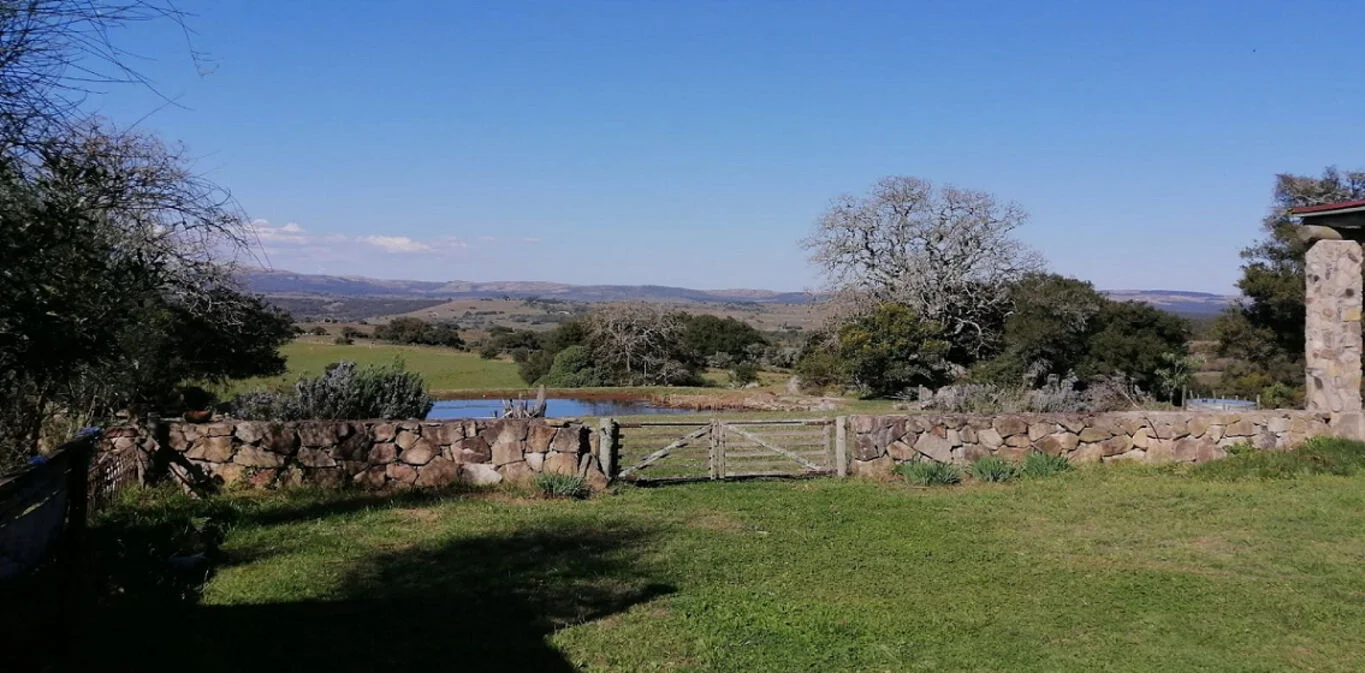 Campo en Maldonado, propiedad 298804 -Imagen 2