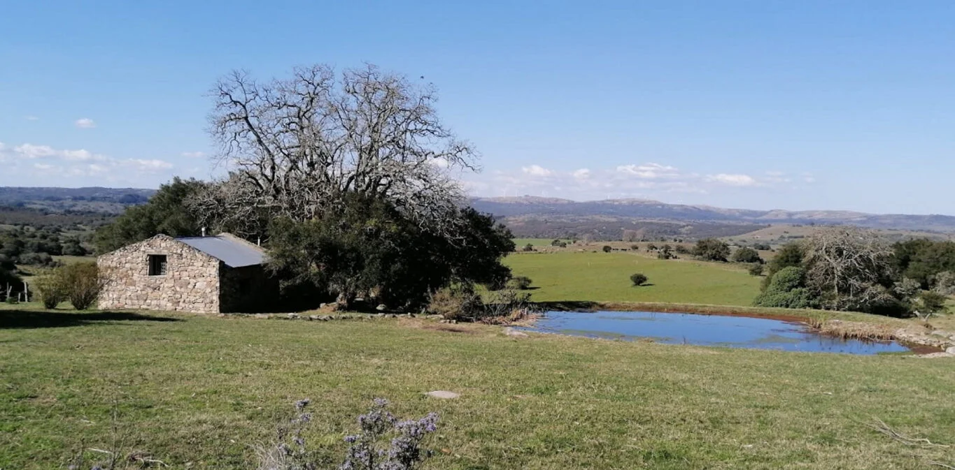 Campo en Maldonado, propiedad 298804 -Imagen 3