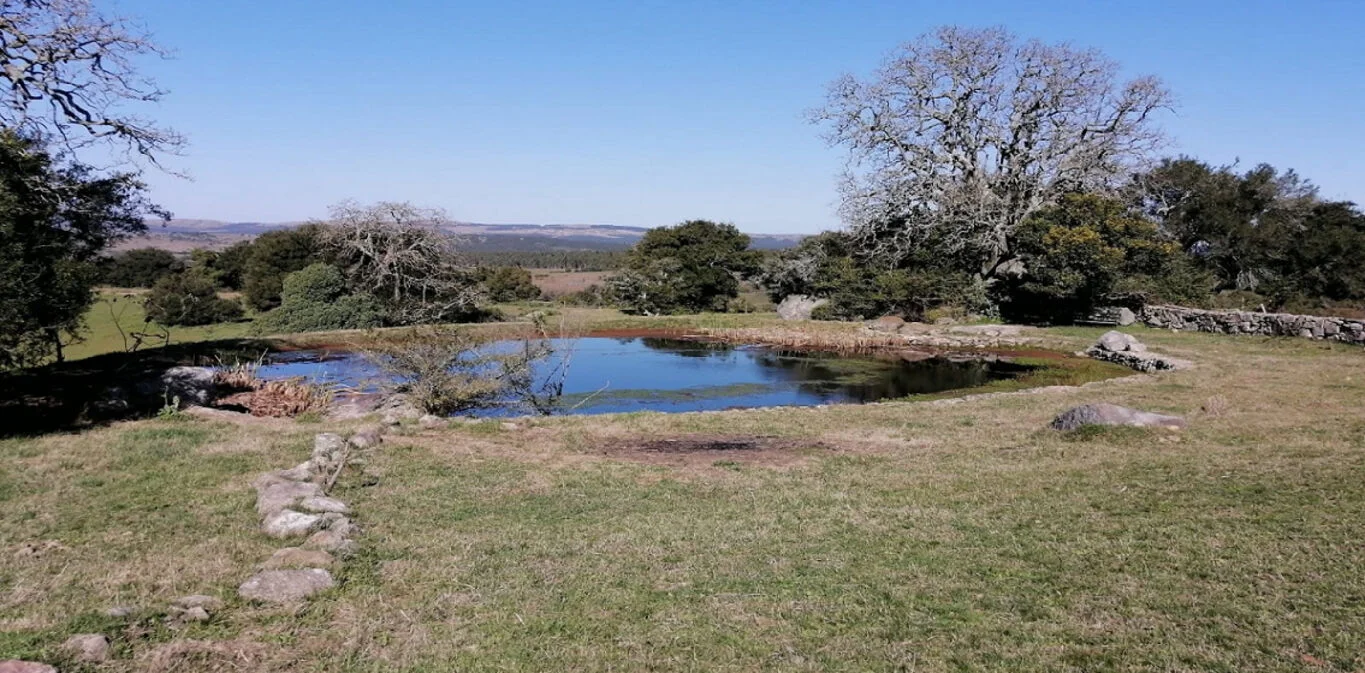 Campo en Maldonado, propiedad 298804 -Imagen 4
