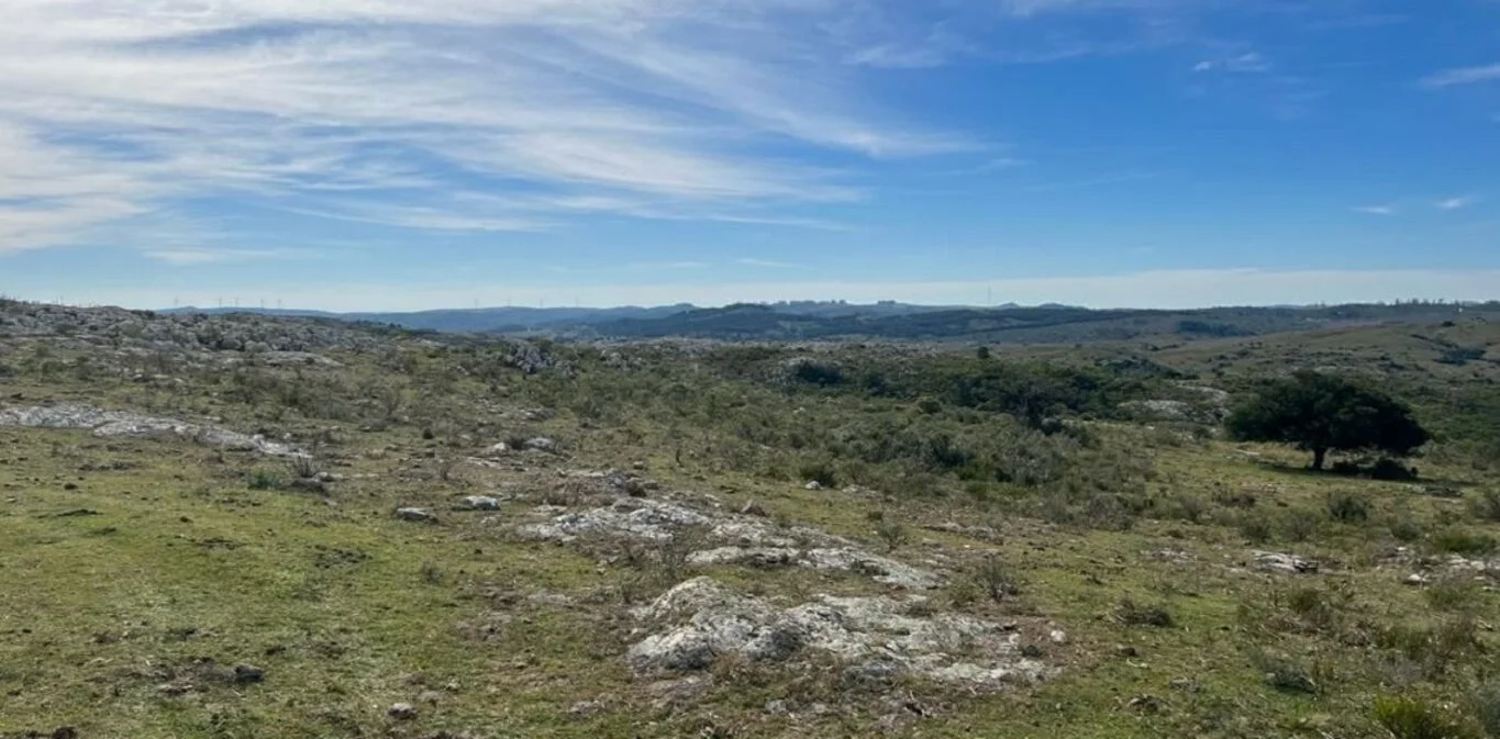 Campo en Maldonado, propiedad 298808 -Imagen 2
