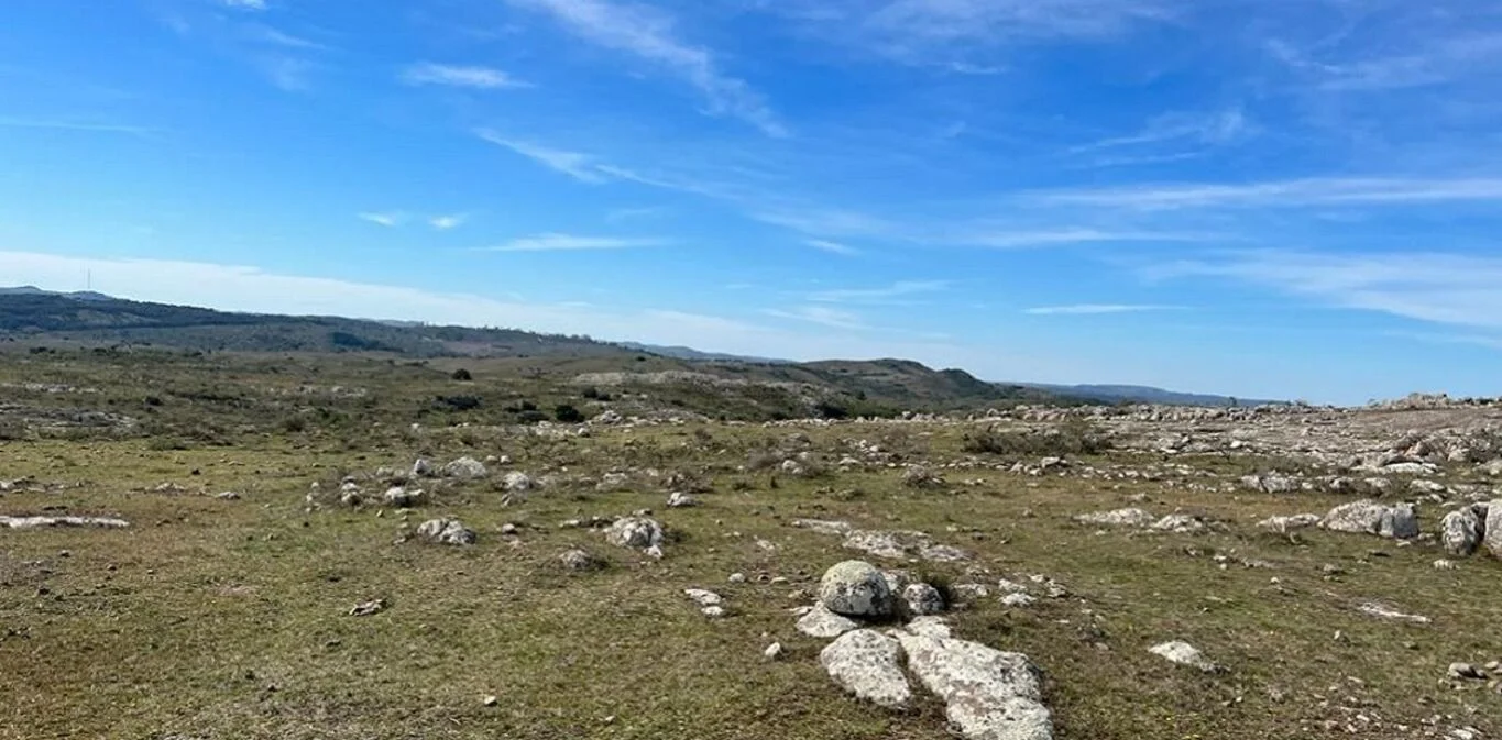 Campo en Maldonado, propiedad 298808 -Imagen 3