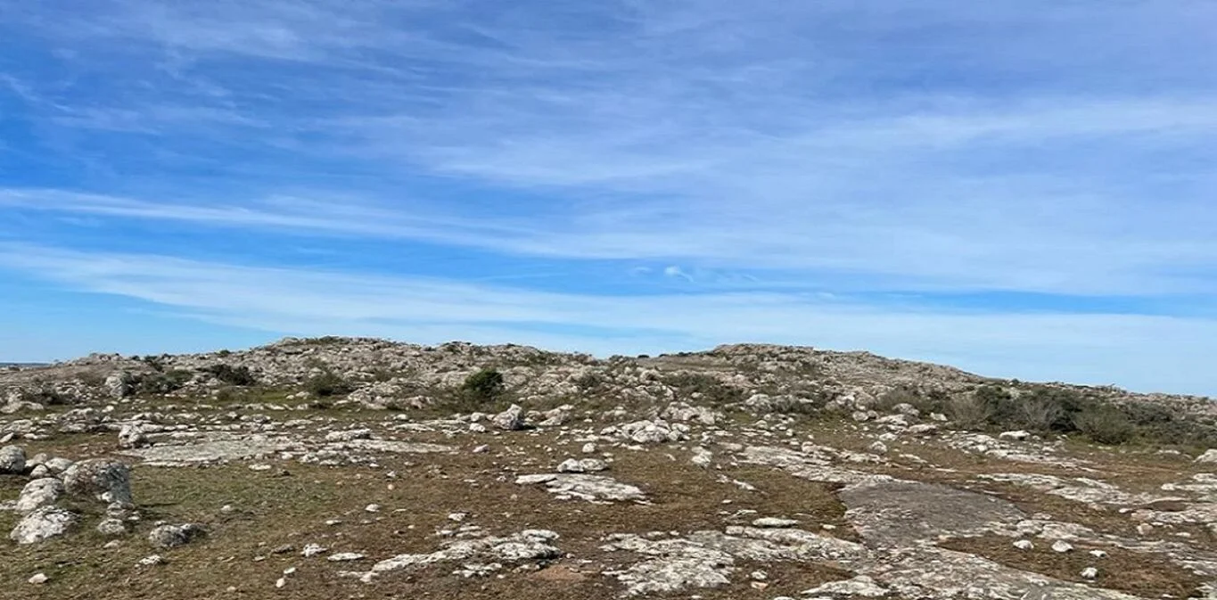 Campo en Maldonado, propiedad 298808 -Imagen 4
