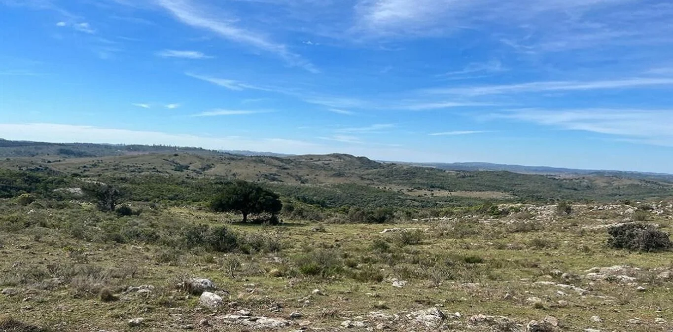 Campo en Maldonado, propiedad 298808 -Imagen 6