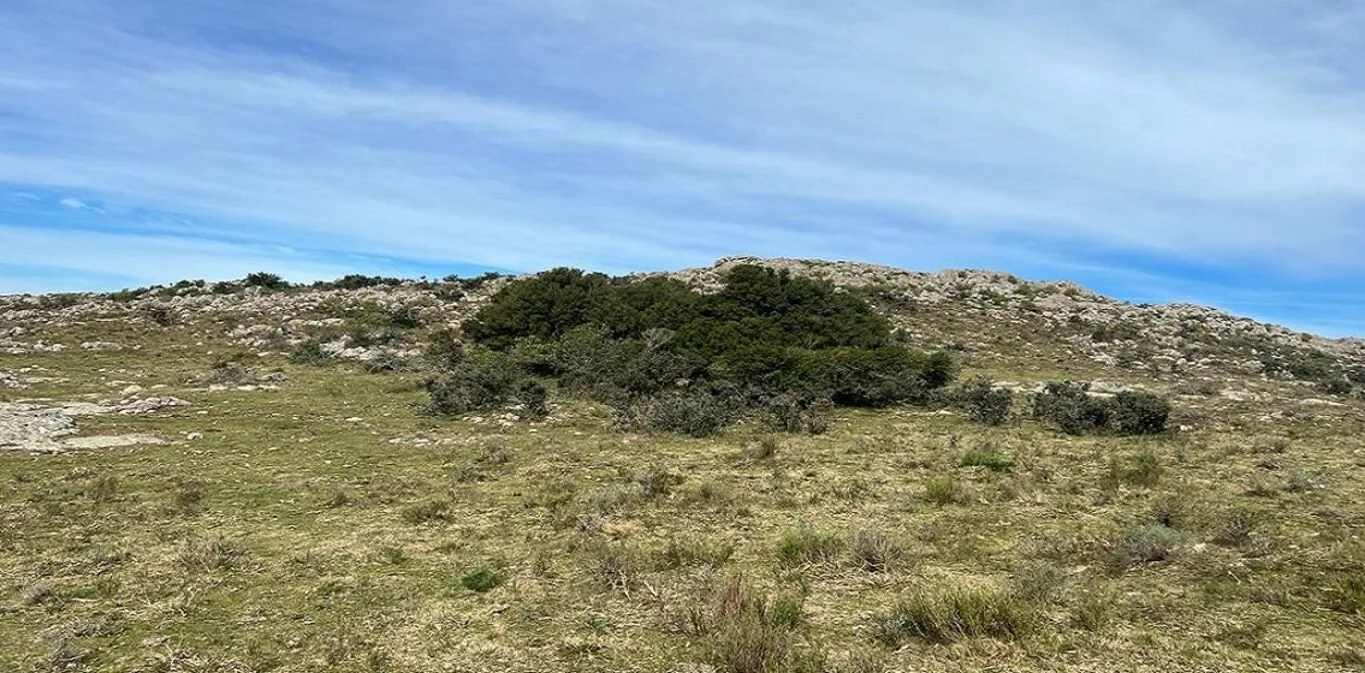 Campo en Maldonado, propiedad 298808 -Imagen 7