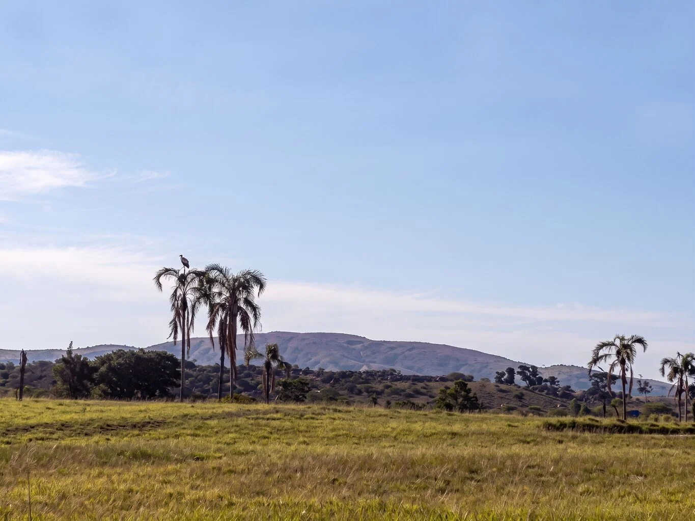 Campo en Maldonado, propiedad 298811 -Imagen 2