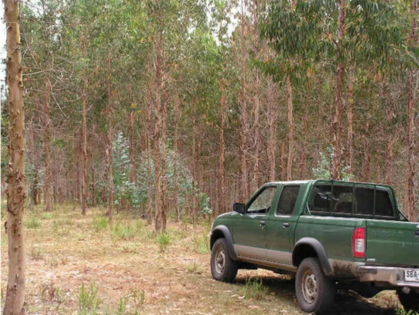 Campo en Maldonado, propiedad 298824 -Imagen 4