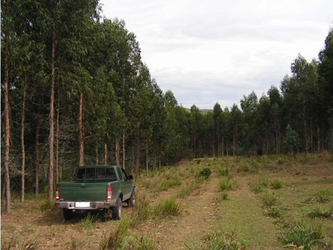 Campo en Maldonado, propiedad 298824 -Imagen 5