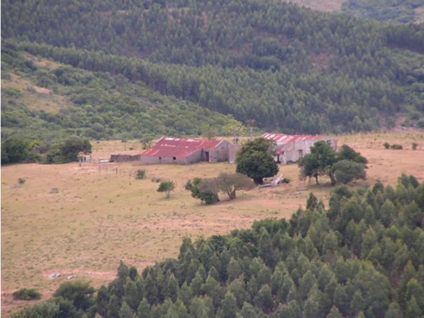 Campo en Maldonado, propiedad 298824 -Imagen 6