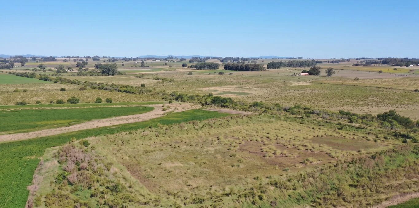 Campo en Migues, propiedad 298871 -Imagen 1