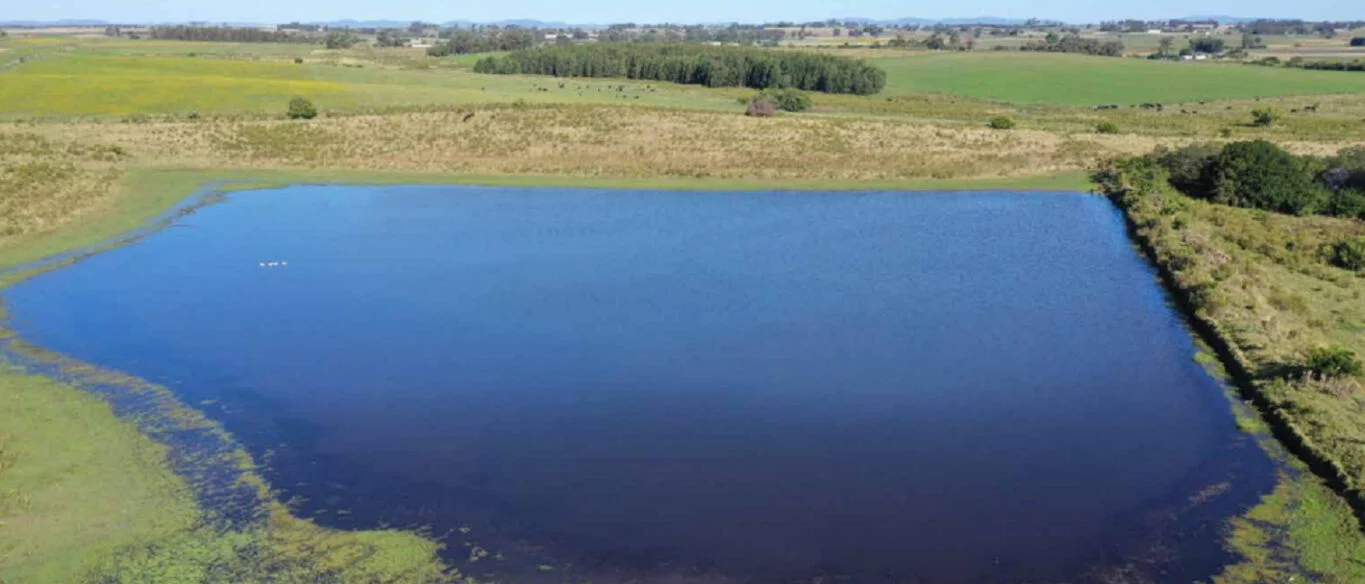 Campo en Migues, propiedad 298871 -Imagen 2