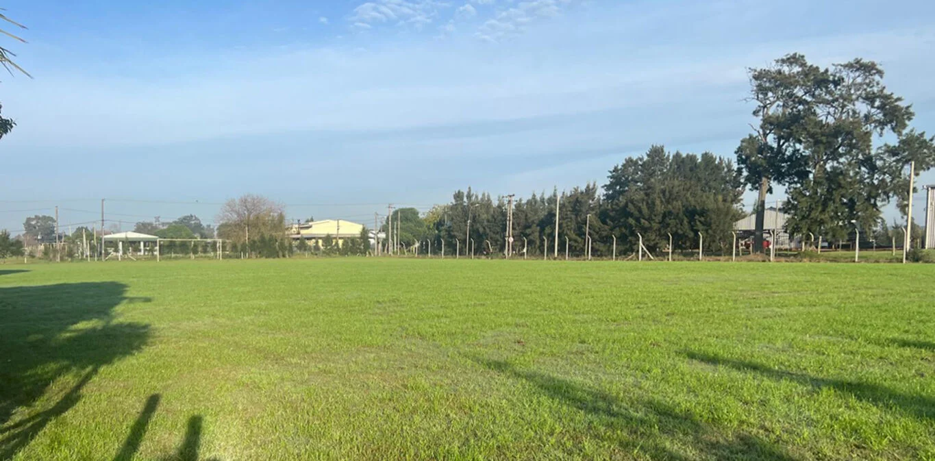 Terreno en Montevideo, propiedad 298904 -Imagen 14