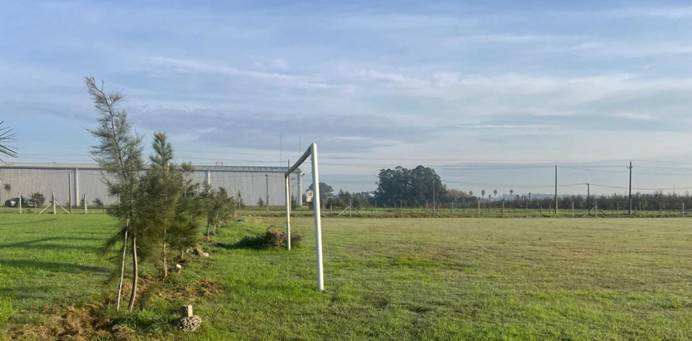 Terreno en Montevideo, propiedad 298904 -Imagen 5