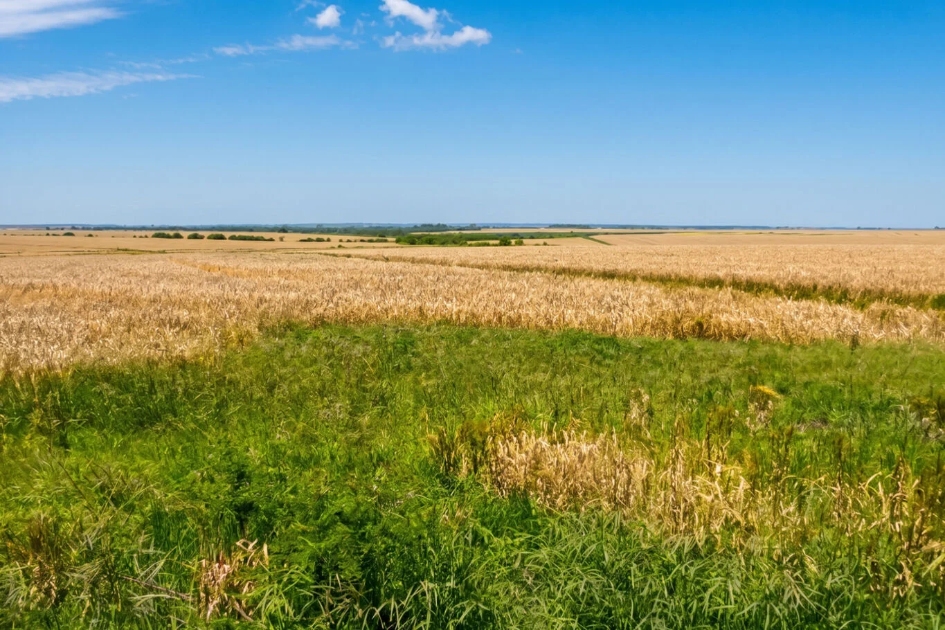 Campo en Paysandú, propiedad 298917 -Imagen 1
