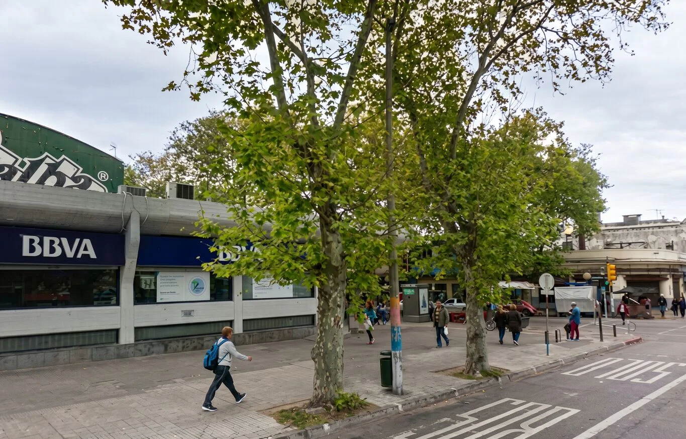 Terreno en Unión, propiedad 298977 -Imagen 2