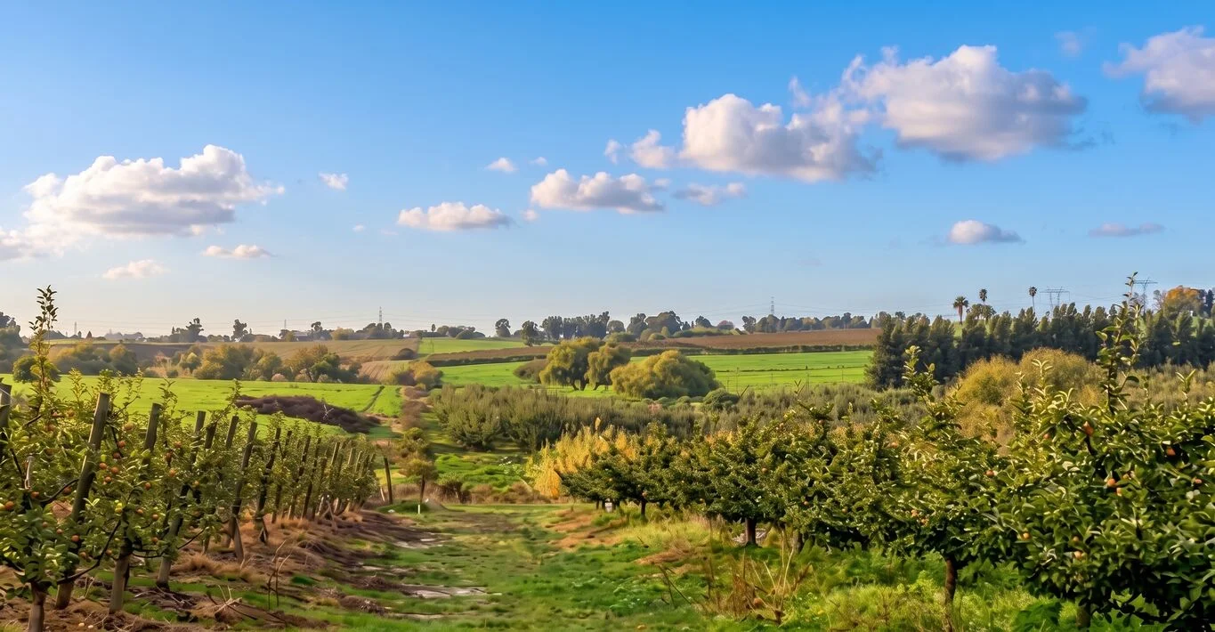 Campo en Montevideo, propiedad 299000 -Imagen 1