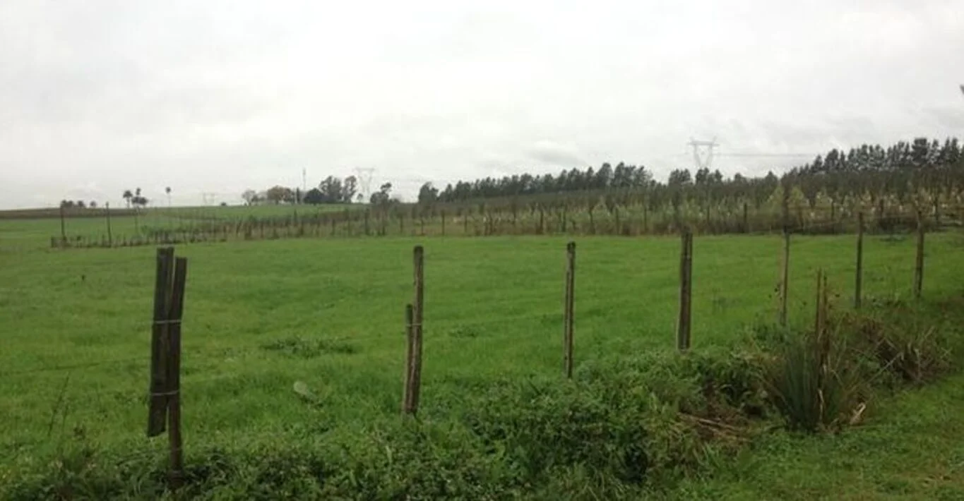 Campo en Montevideo, propiedad 299000 -Imagen 6