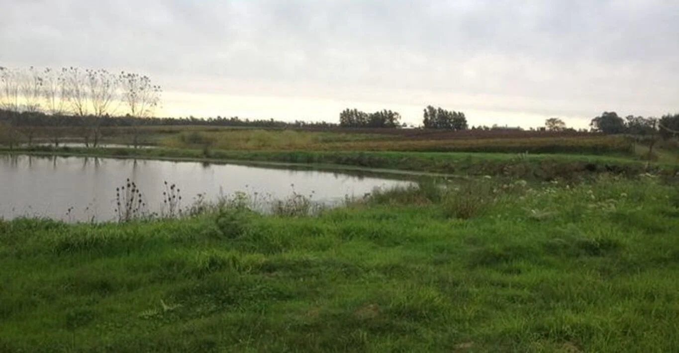 Campo en Montevideo, propiedad 299000 -Imagen 8