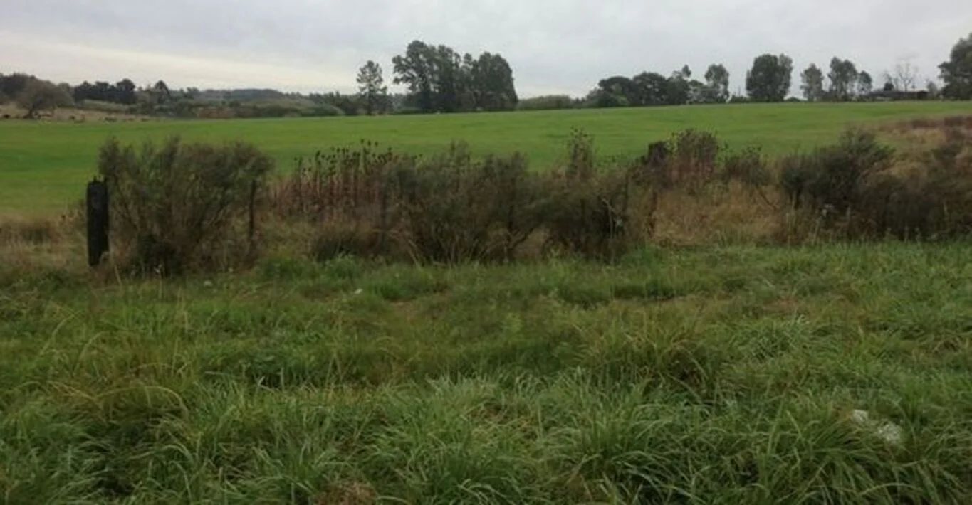 Campo en Montevideo, propiedad 299000 -Imagen 9