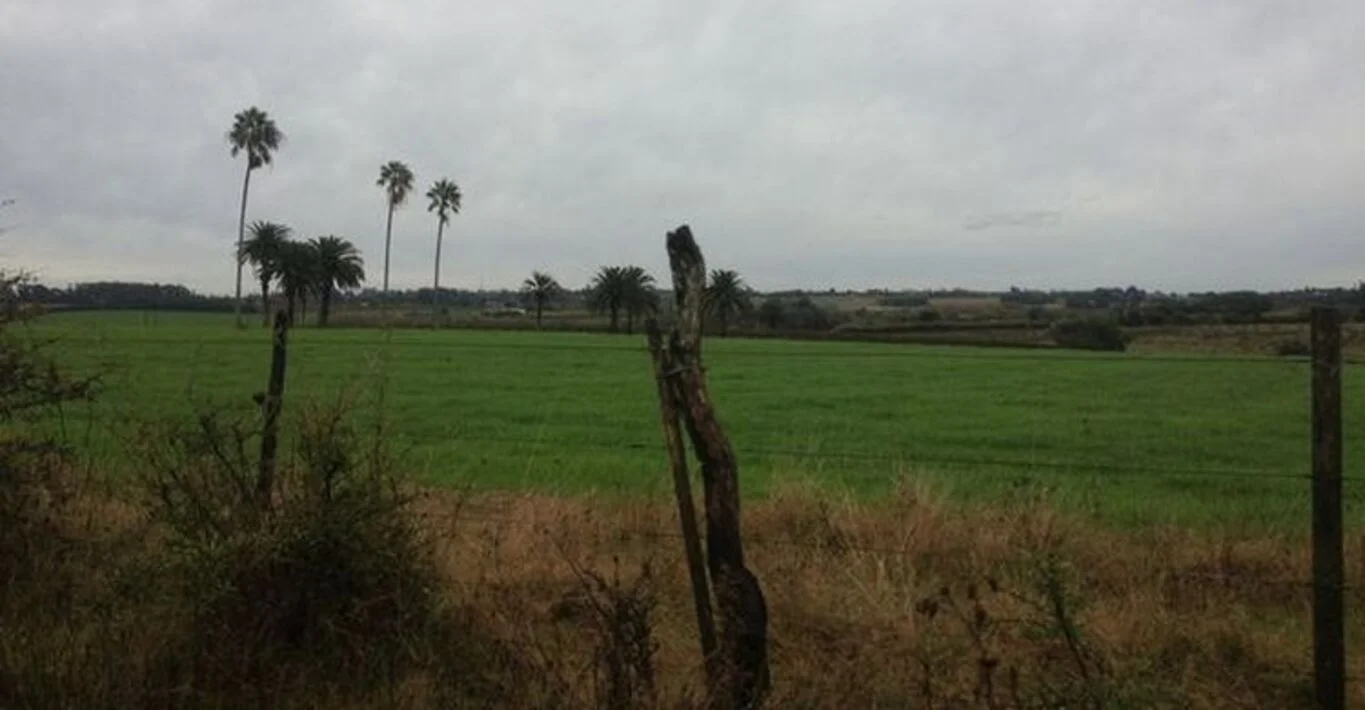 Campo en Montevideo, propiedad 299000 -Imagen 12