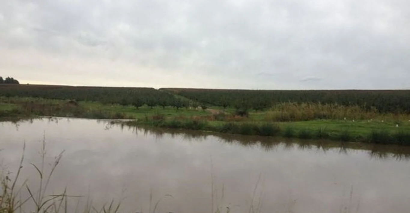 Campo en Montevideo, propiedad 299000 -Imagen 14