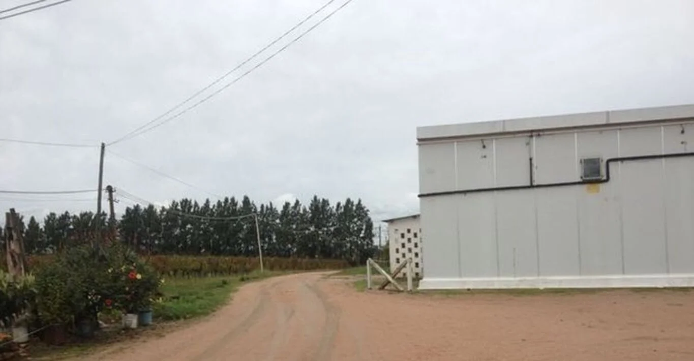 Campo en Montevideo, propiedad 299000 -Imagen 16
