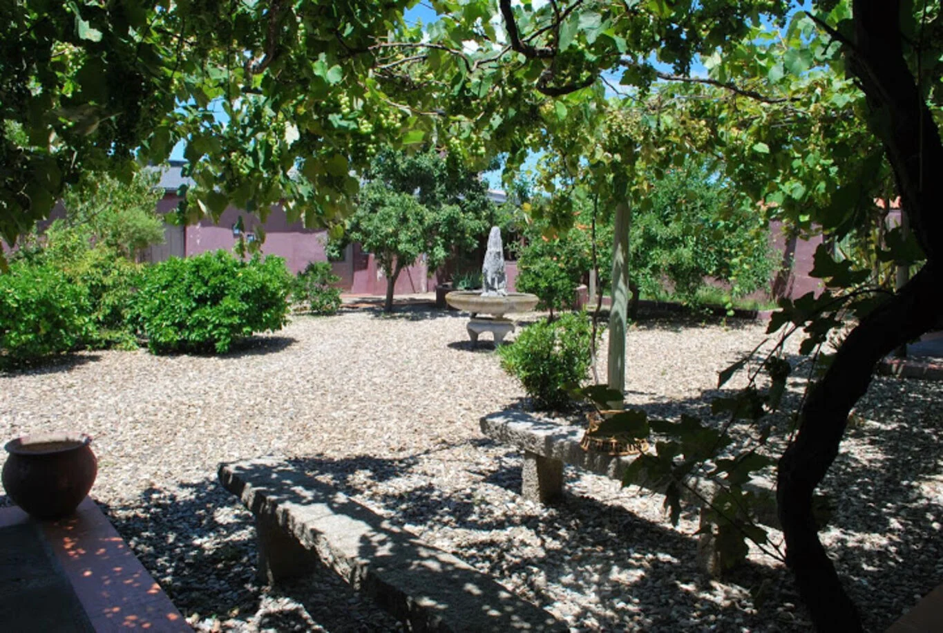 Campo en Aigua, propiedad 299016 -Imagen 9