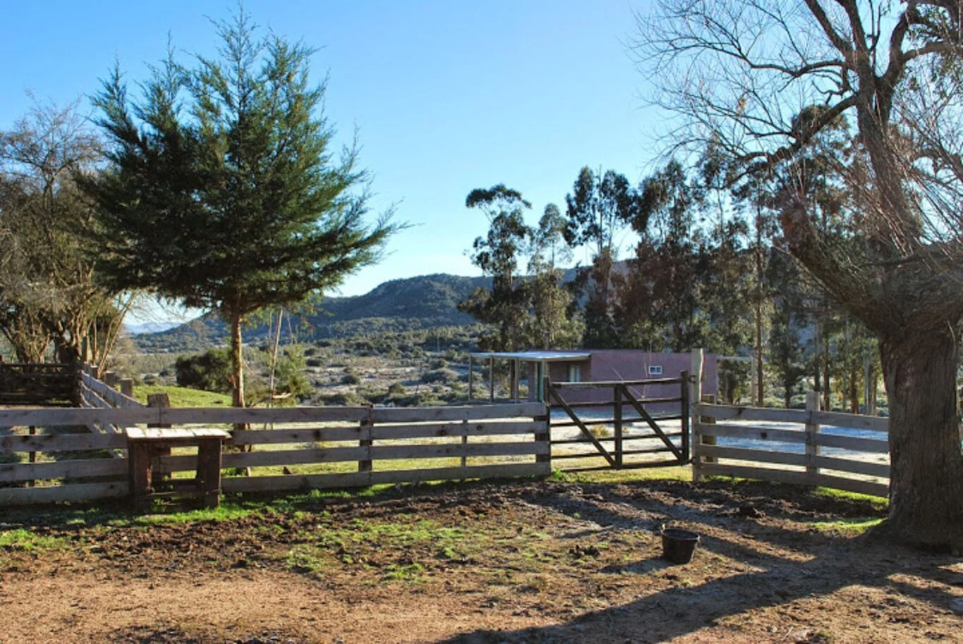 Campo en Aigua, propiedad 299016 -Imagen 17