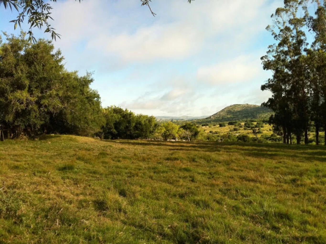 Campo en Aigua, propiedad 299016 -Imagen 18
