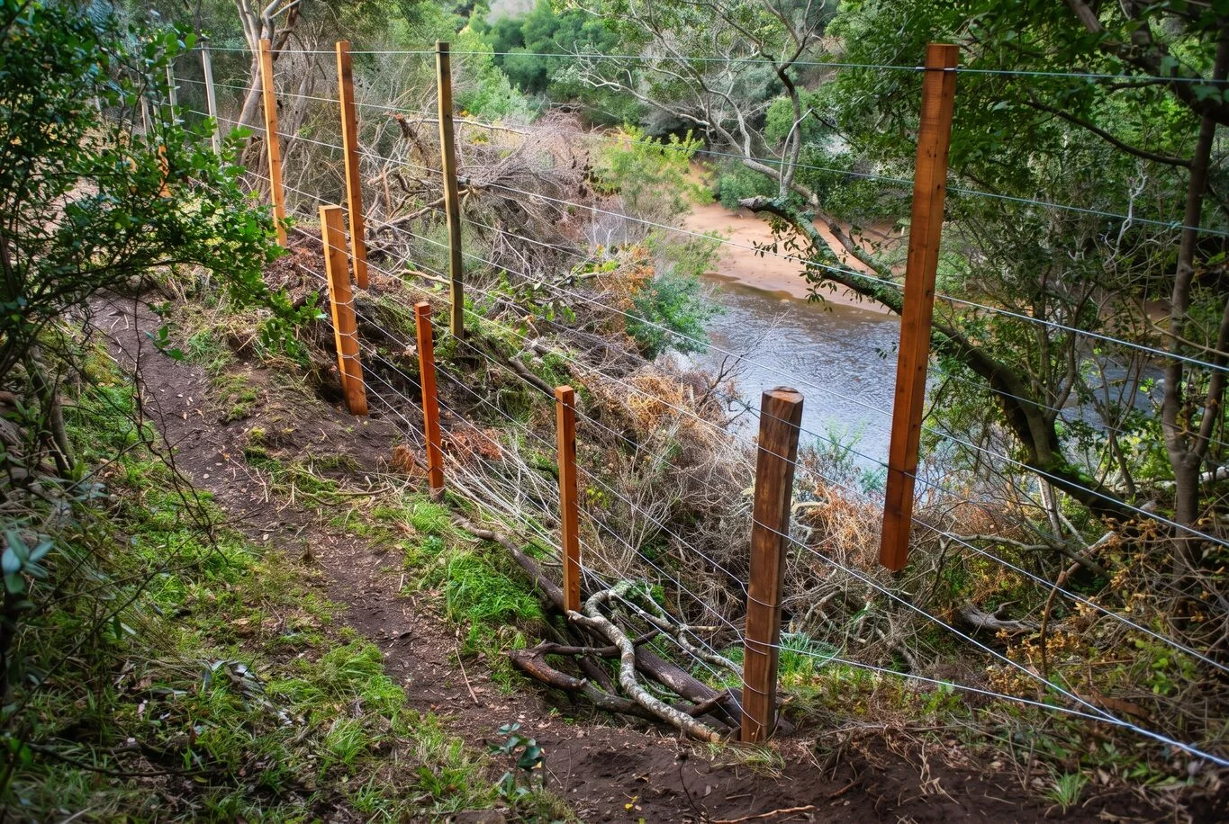 Campo en Aigua, propiedad 299016 -Imagen 19