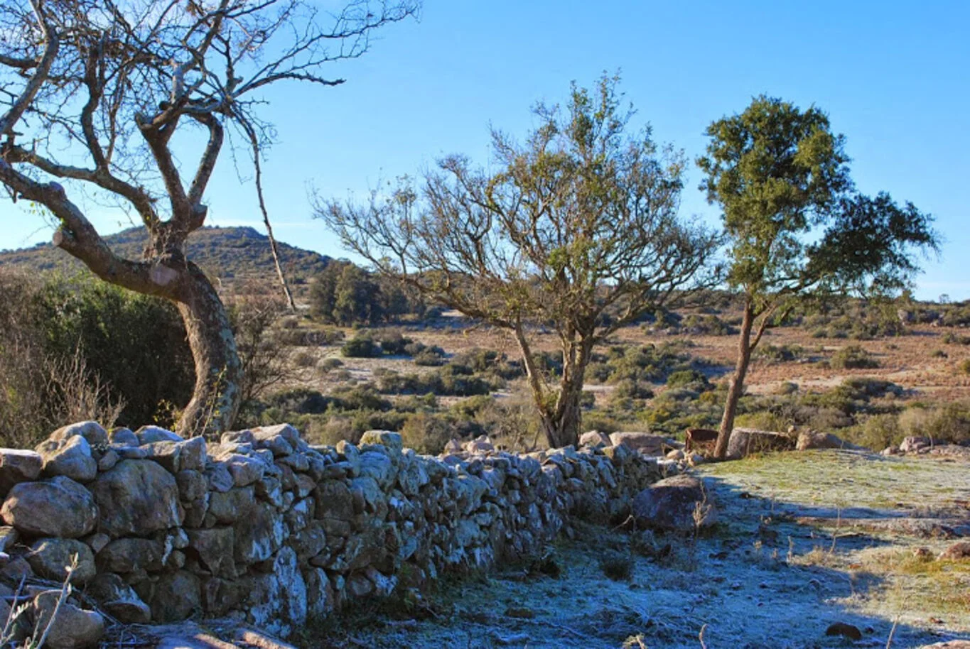 Campo en Aigua, propiedad 299016 -Imagen 20