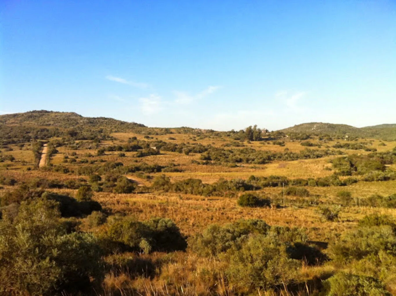 Campo en Aigua, propiedad 299016 -Imagen 2