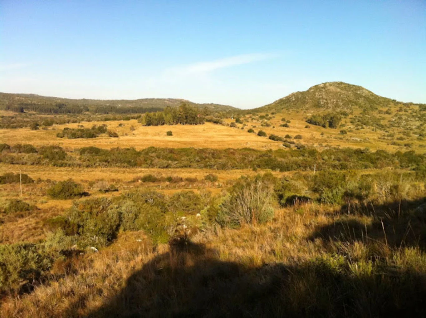Campo en Aigua, propiedad 299016 -Imagen 3