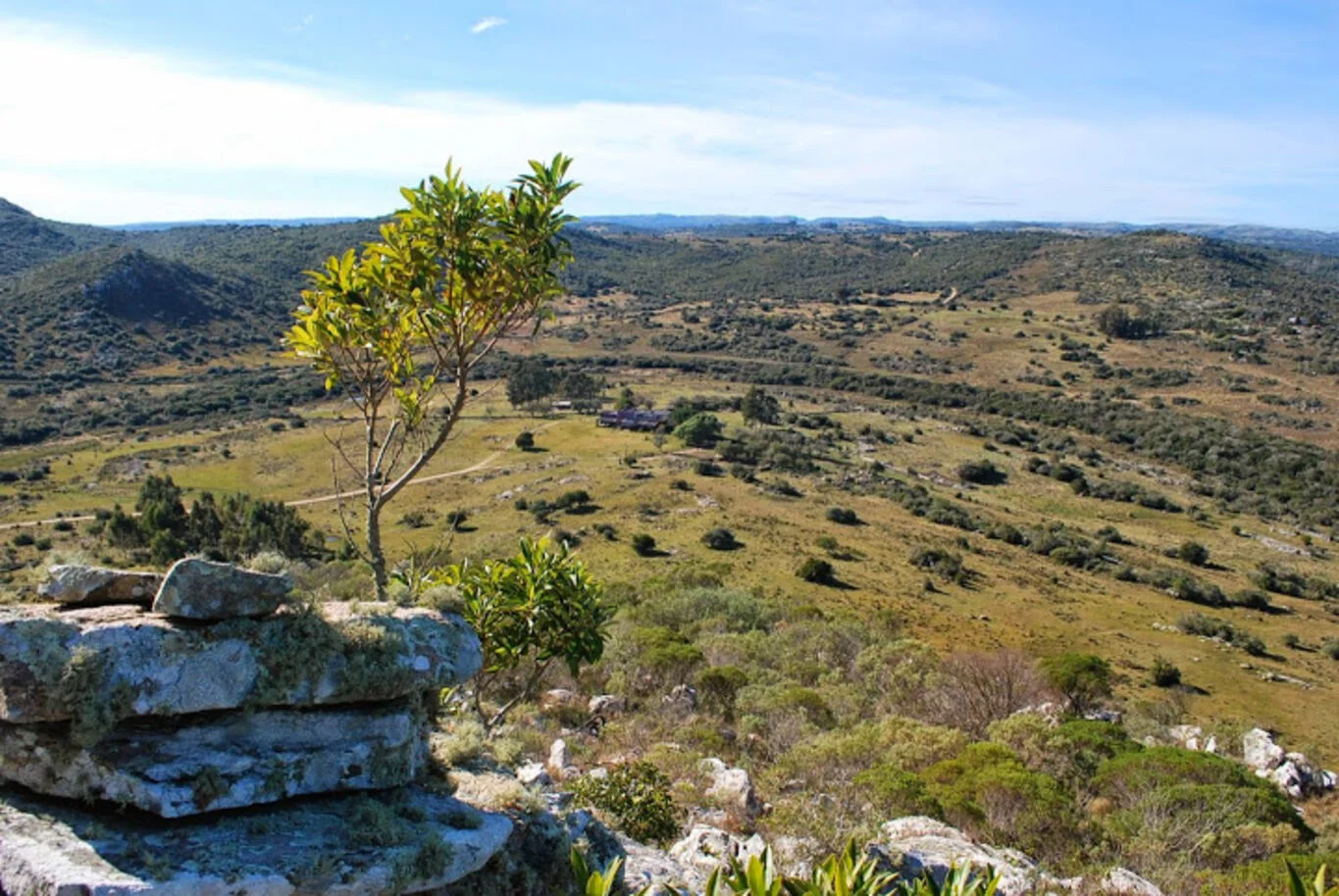 Campo en Aigua, propiedad 299016 -Imagen 5