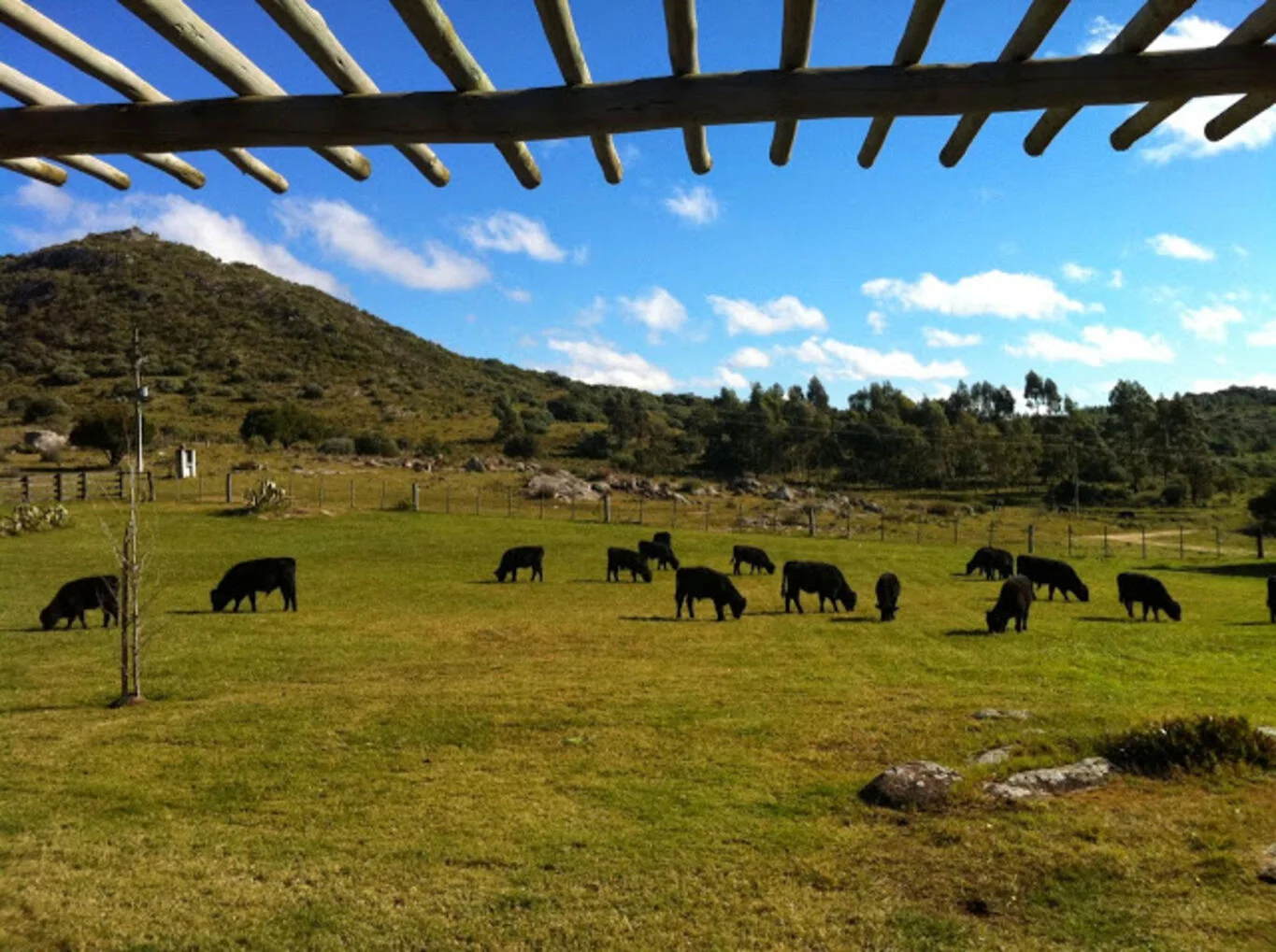 Campo en Aigua, propiedad 299016 -Imagen 6