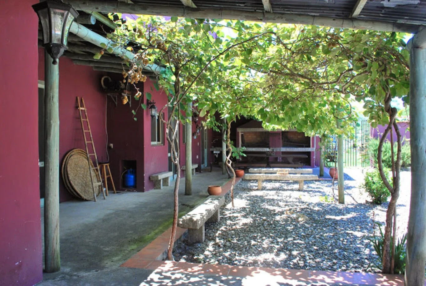 Campo en Aigua, propiedad 299016 -Imagen 8