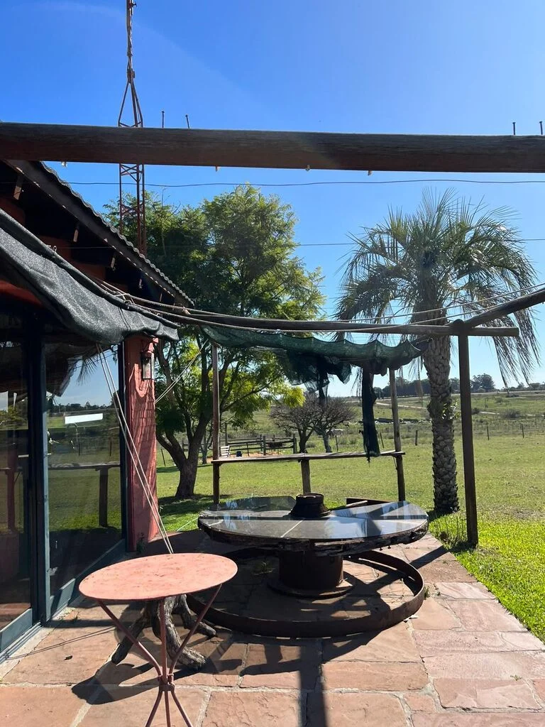 Chacra en Salto, propiedad 299049 -Imagen 14