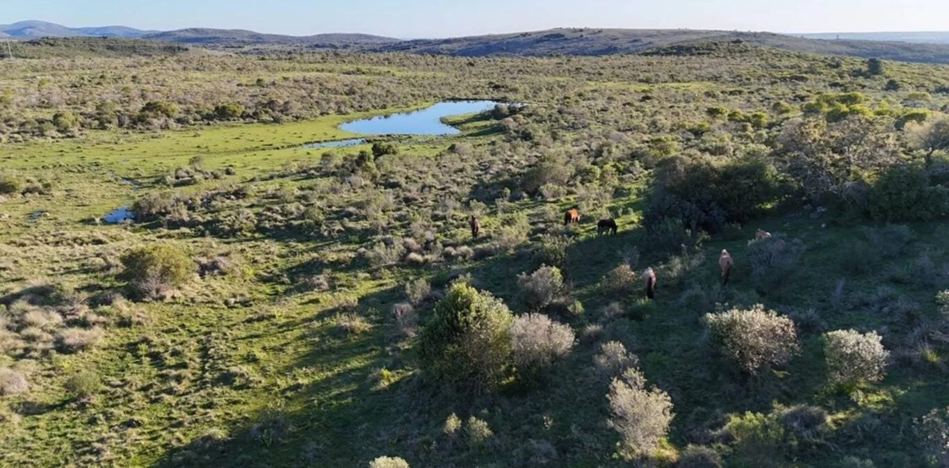 Chacra en Solis de Mataojo, propiedad 299050 -Imagen 1