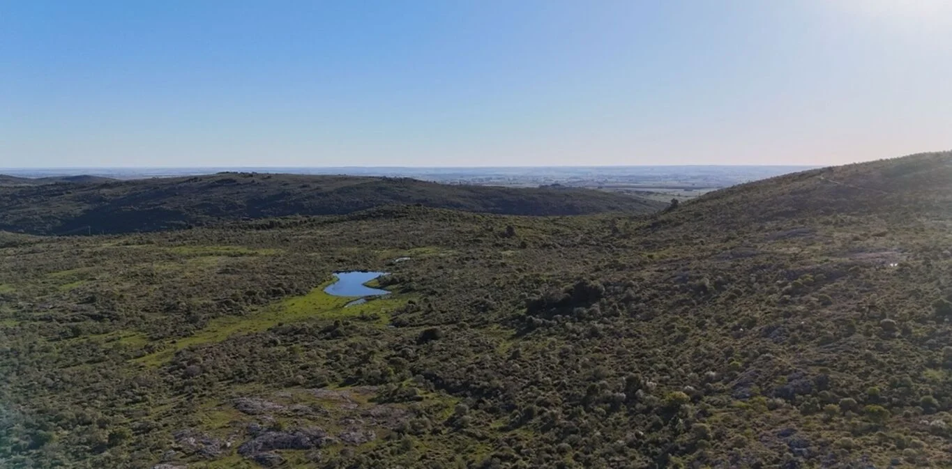 Chacra en Solis de Mataojo, propiedad 299050 -Imagen 3