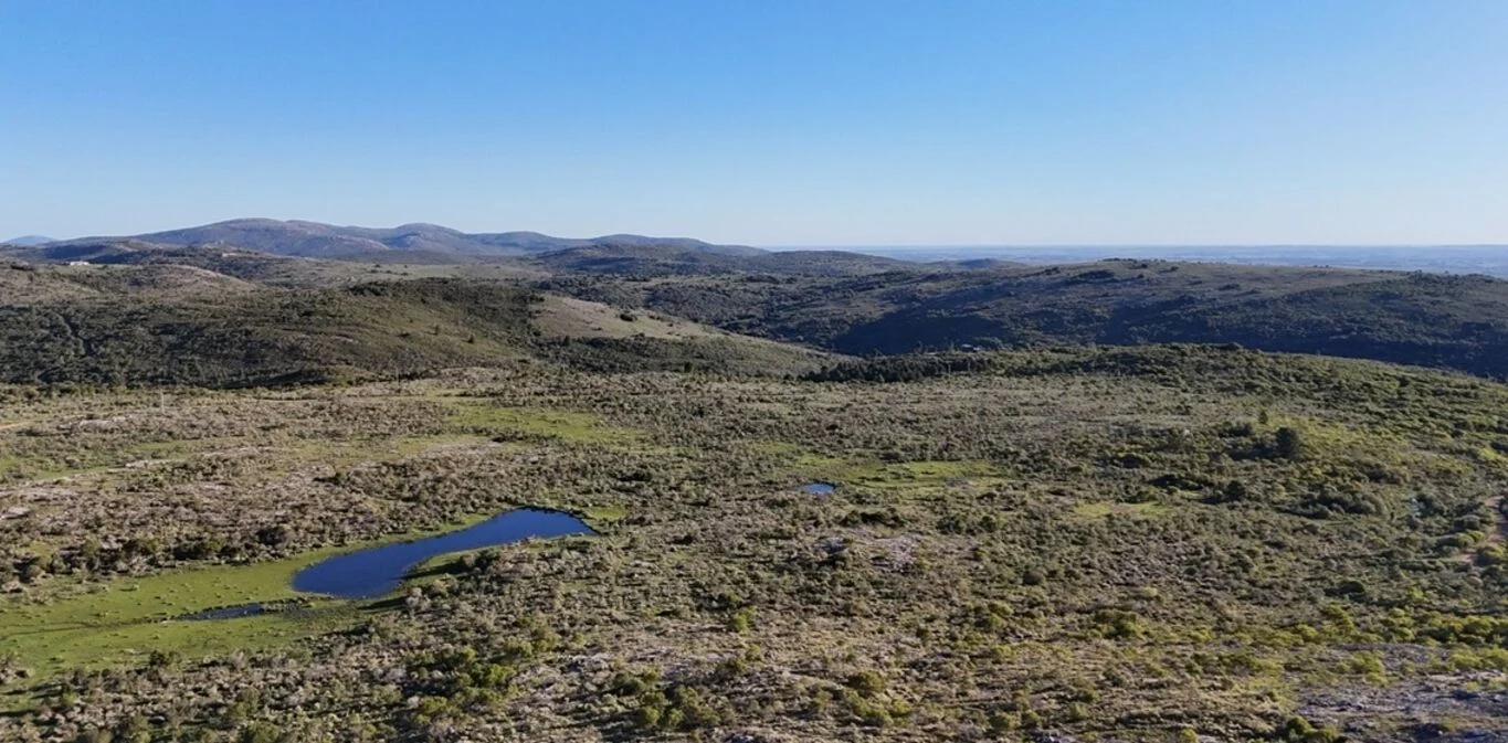 Chacra en Solis de Mataojo, propiedad 299051 -Imagen 3