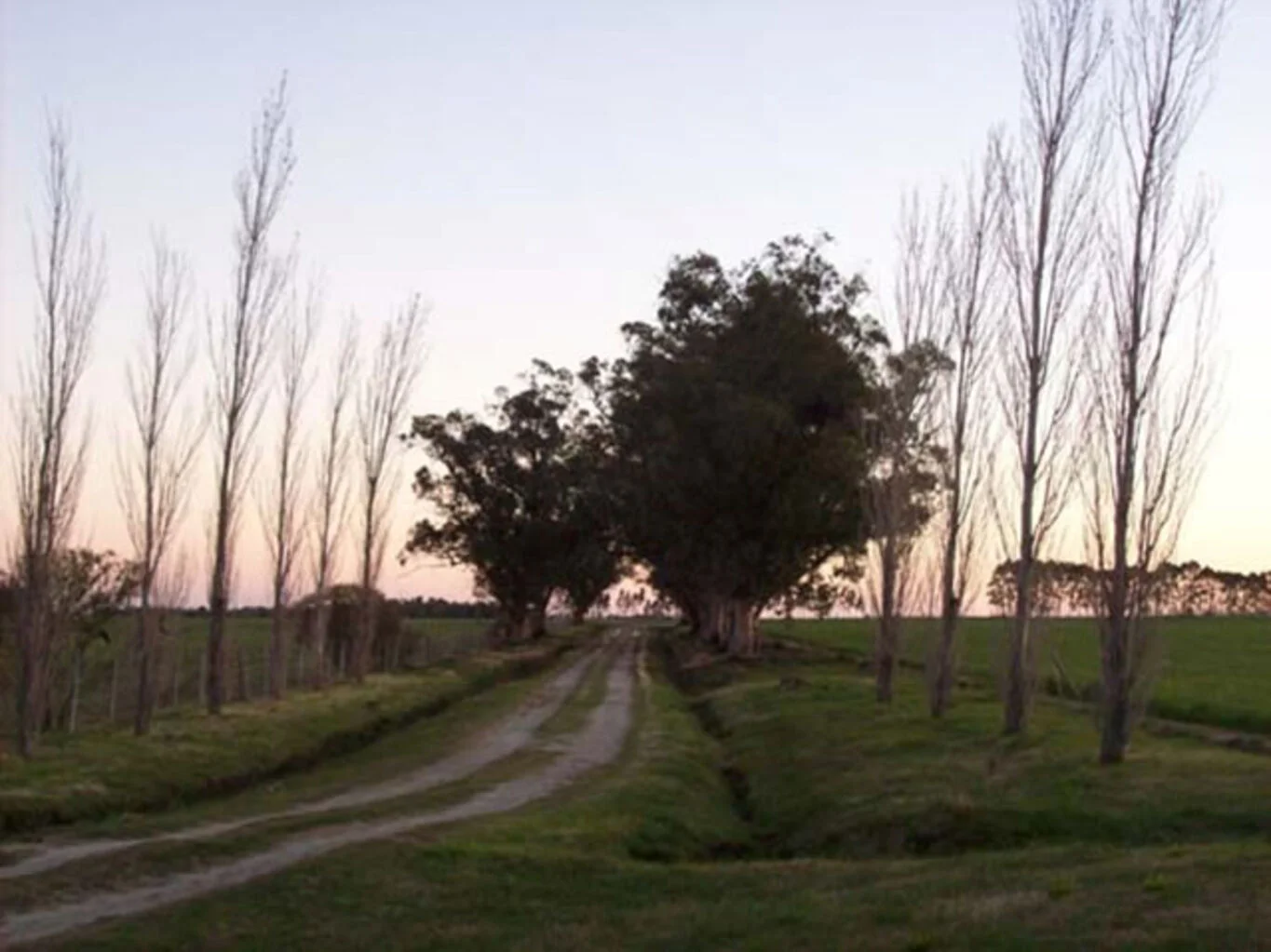 Campo en Colonia del Sacramento, propiedad 300107 -Imagen 3
