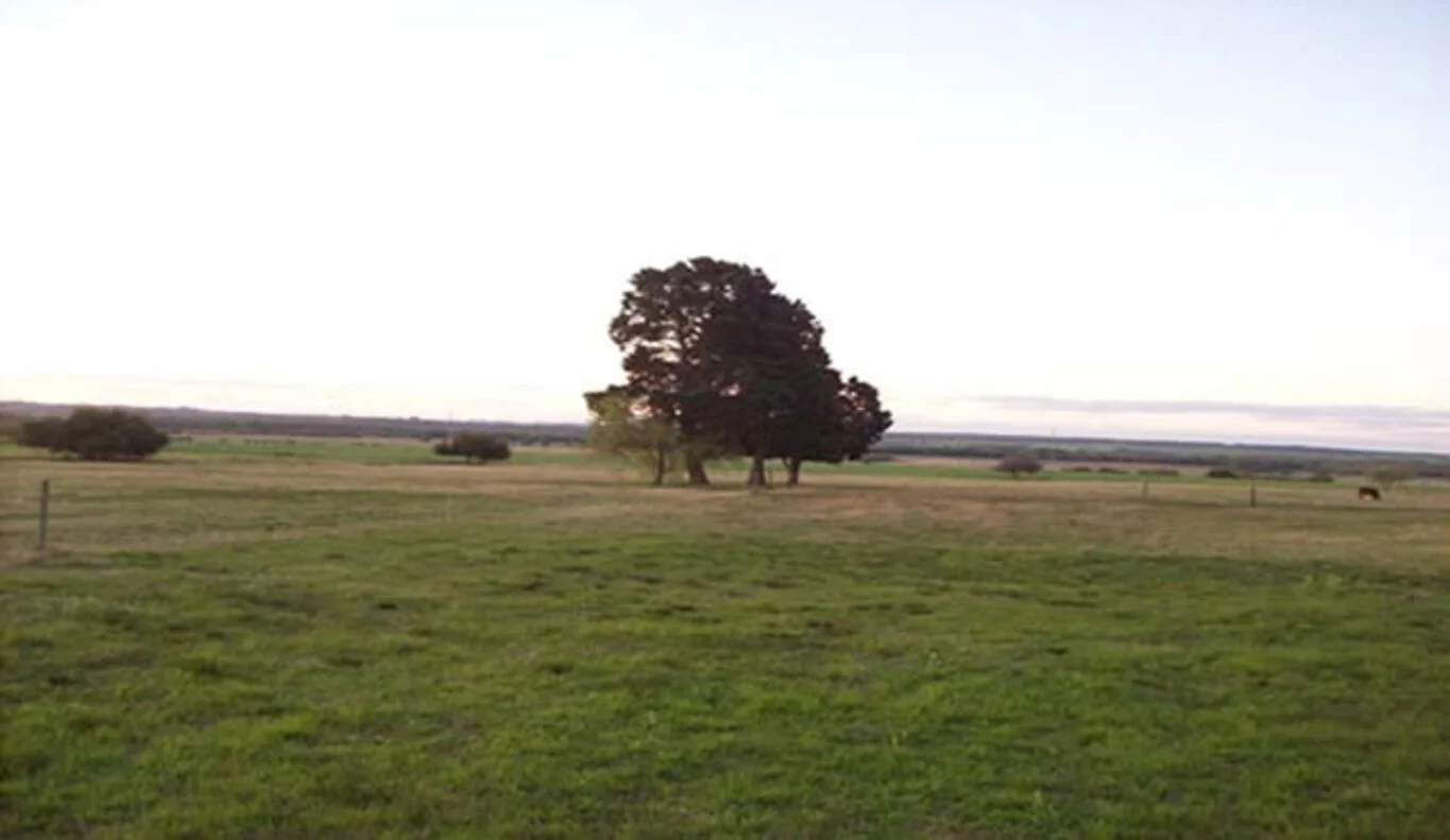 Campo en Colonia del Sacramento, propiedad 300107 -Imagen 6