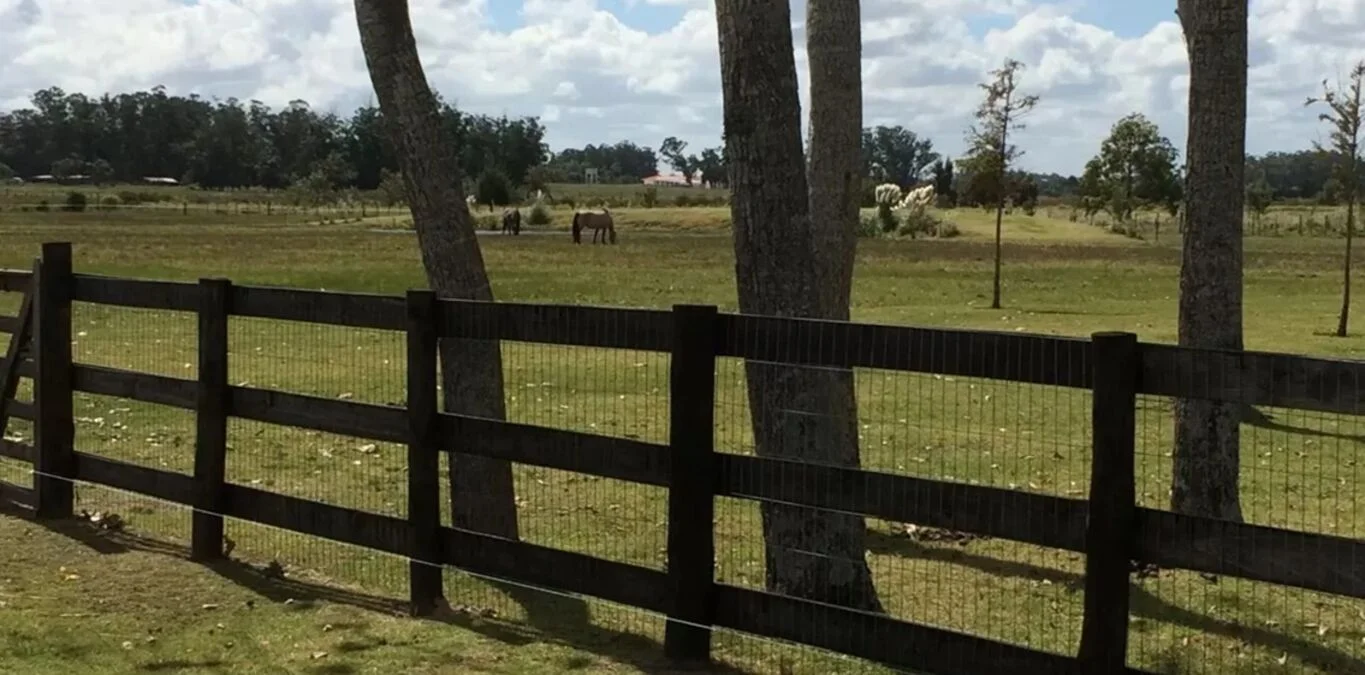 Chacra en Punta Ballena, propiedad 301146 -Imagen 11
