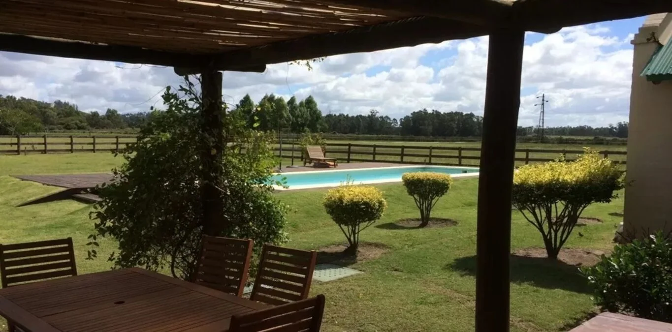 Chacra en Punta Ballena, propiedad 301146 -Imagen 6
