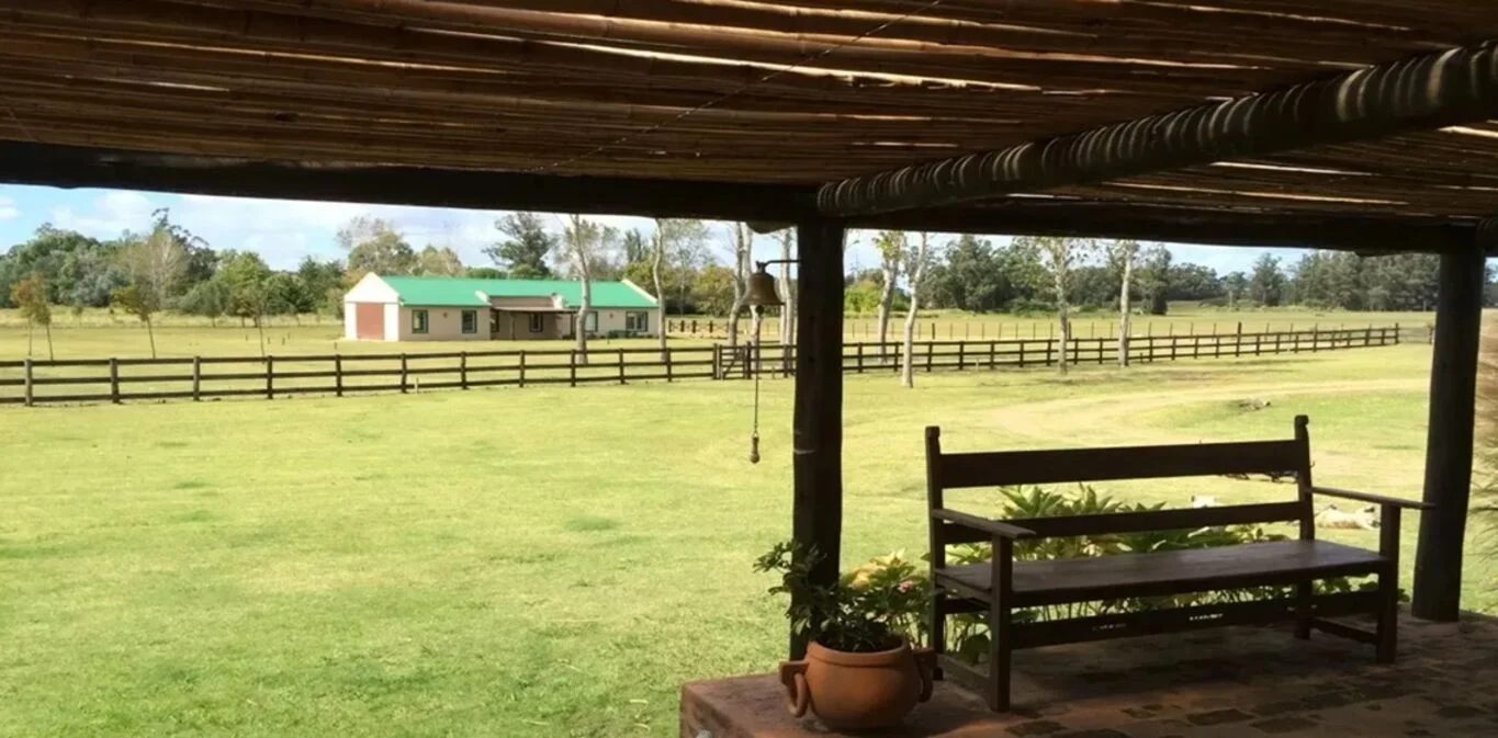 Chacra en Punta Ballena, propiedad 301146 -Imagen 7