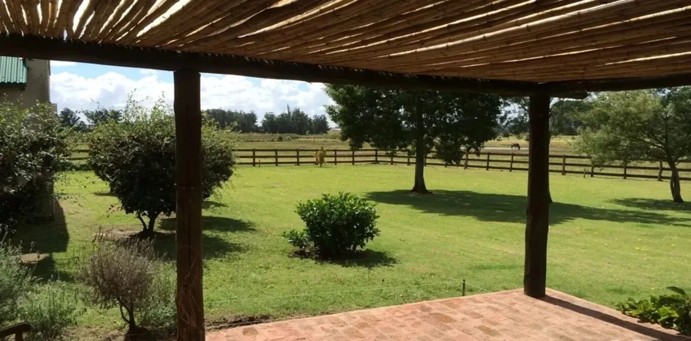 Chacra en Punta Ballena, propiedad 301146 -Imagen 8